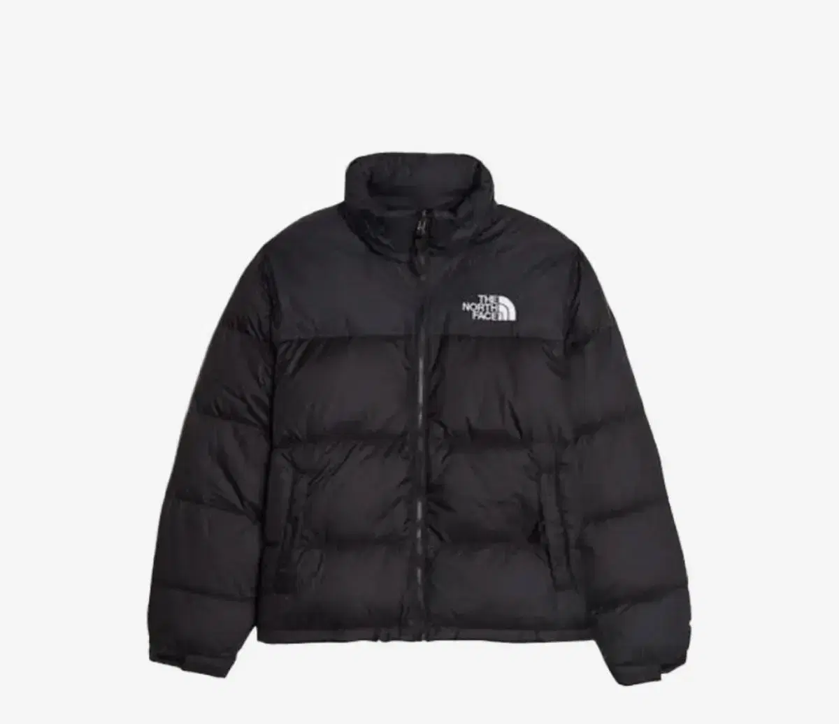 노스 페이스 1996 tnf 눕시 Xs-XXL 미국판